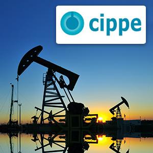 CIPPE'2020 -     ,    