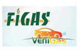 FIGAS � ������������� ����-������������ �������� �� ���������� � ��������� ����